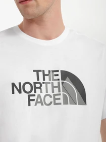 Футболки и поло The North Face Biner Graphic 1 модель NF0A7R4HFN41 Фото