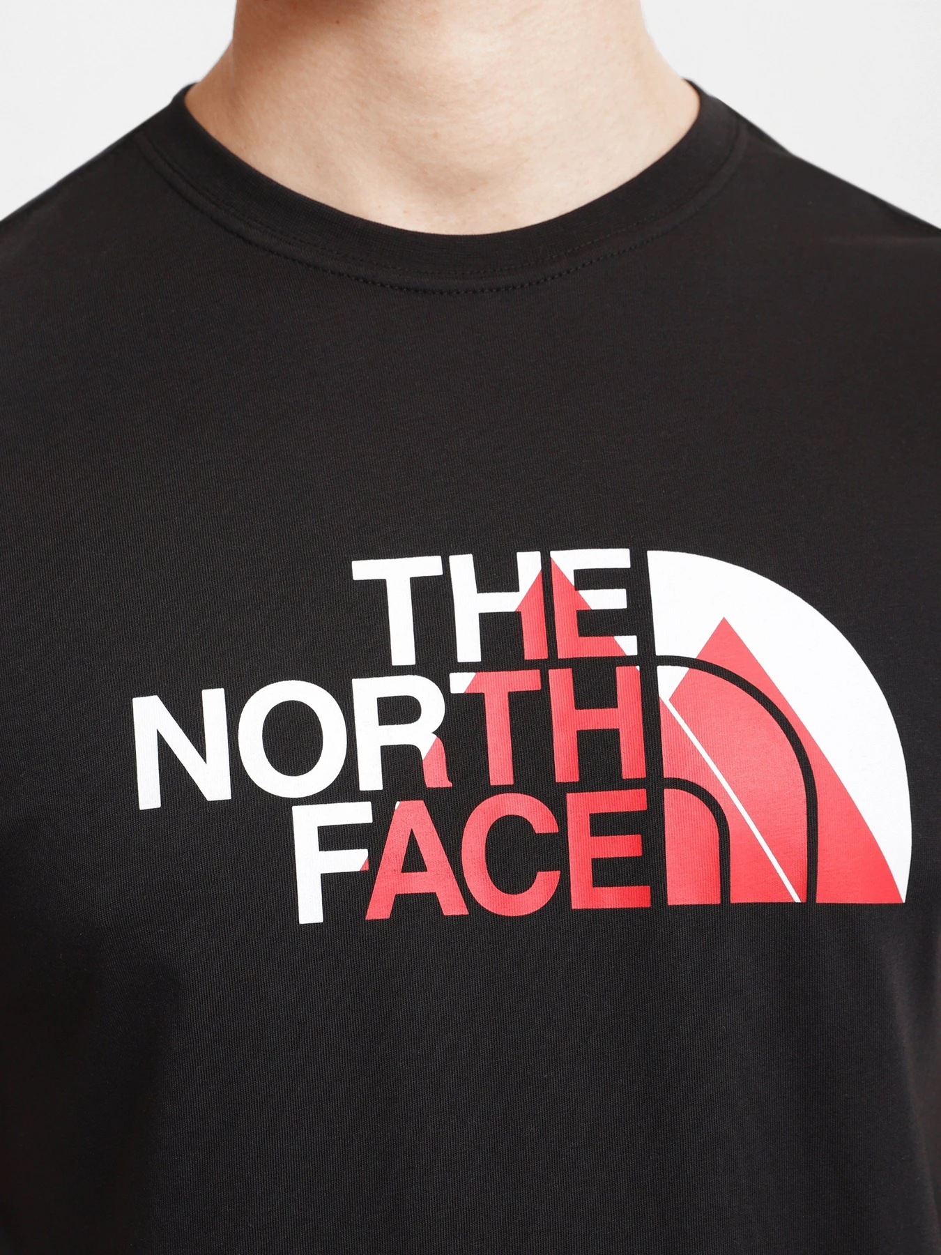 Футболки и поло The North Face Biner Graphic 1 модель NF0A7R4HJK31 Футболки и поло The North Face Biner Graphic 1 модель NF0A7R4HJK31 Фото