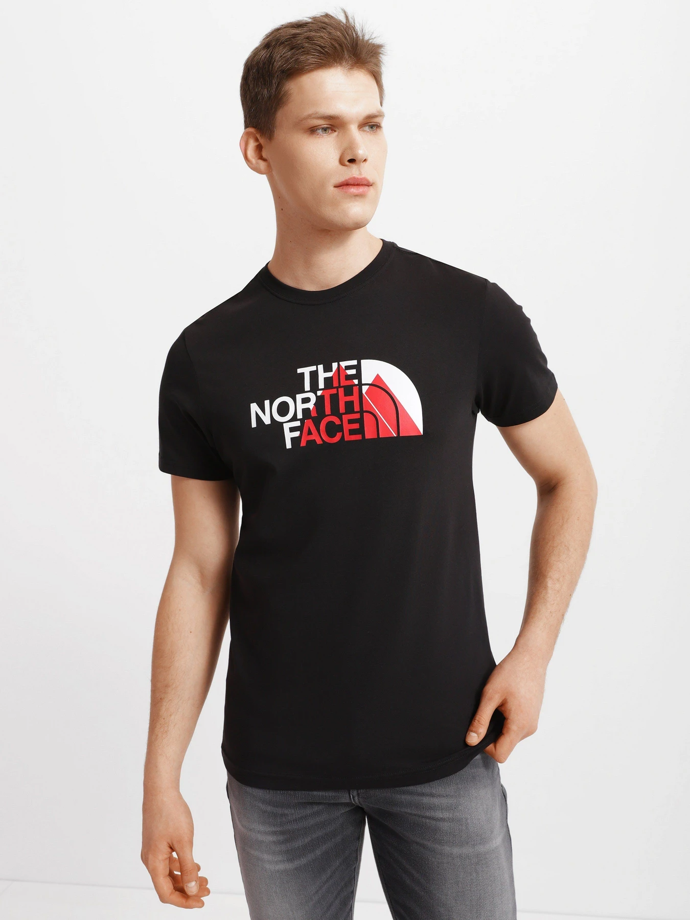 Футболки и поло The North Face Biner Graphic 1 модель NF0A7R4HJK31 Футболки и поло The North Face Biner Graphic 1 модель NF0A7R4HJK31 Фото