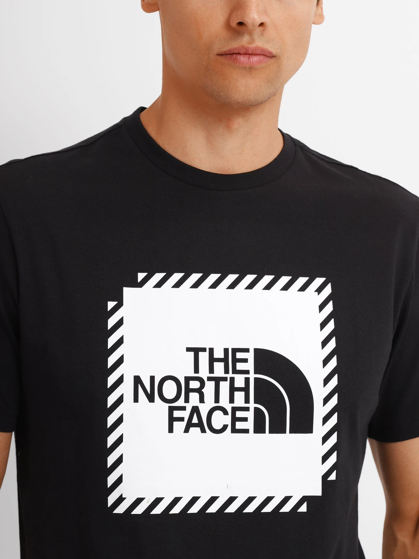 Футболки и поло The North Face Biner Graphic 2 модель NF0A7R4JJK31 Фото