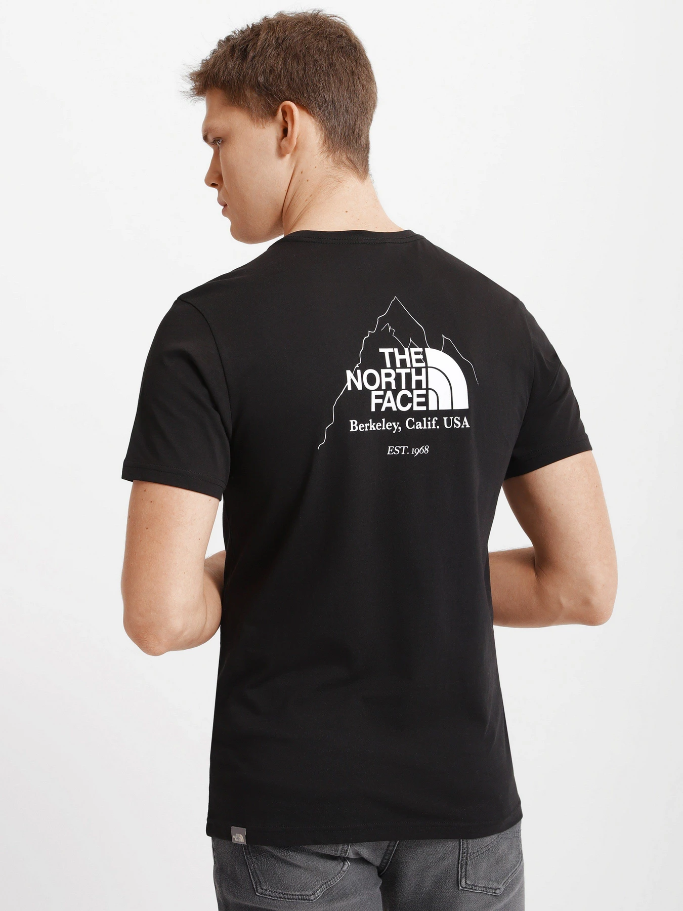 Футболки и поло The North Face Biner Graphic 4 модель NF0A7R4LJK31 Футболки и поло The North Face Biner Graphic 4 модель NF0A7R4LJK31 Фото