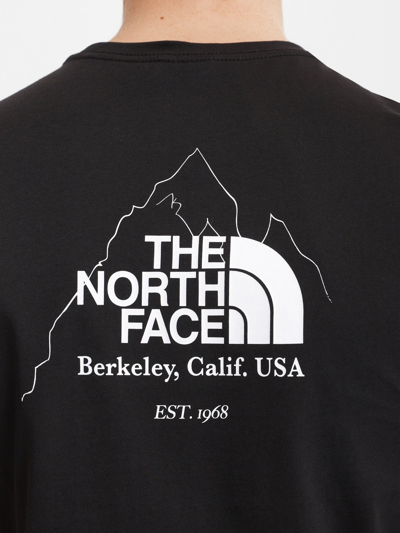 Футболки и поло The North Face Biner Graphic 4 модель NF0A7R4LJK31 Футболки и поло The North Face Biner Graphic 4 модель NF0A7R4LJK31 Фото