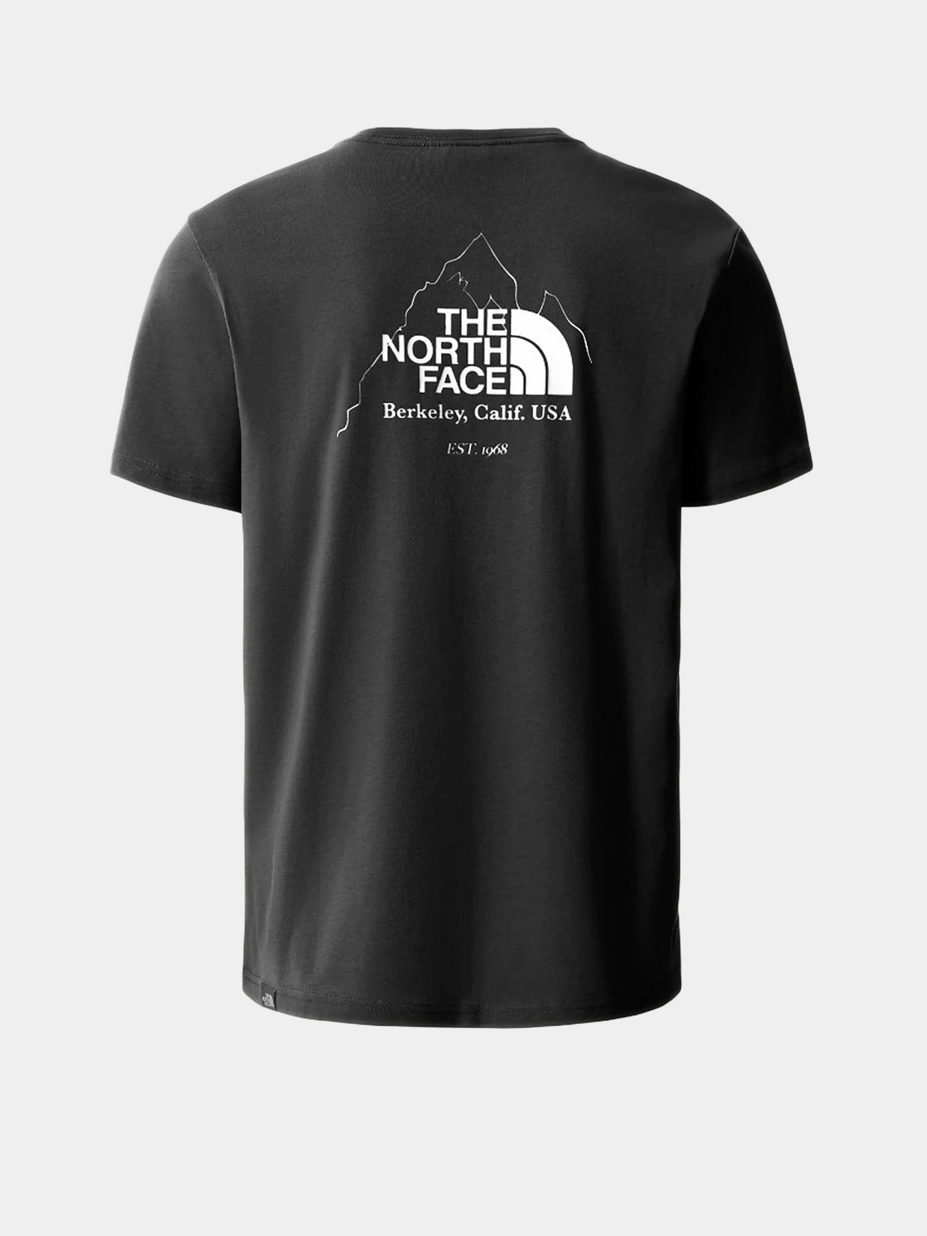 Футболки и поло The North Face Biner Graphic 4 модель NF0A7R4LJK31 Футболки и поло The North Face Biner Graphic 4 модель NF0A7R4LJK31 Фото