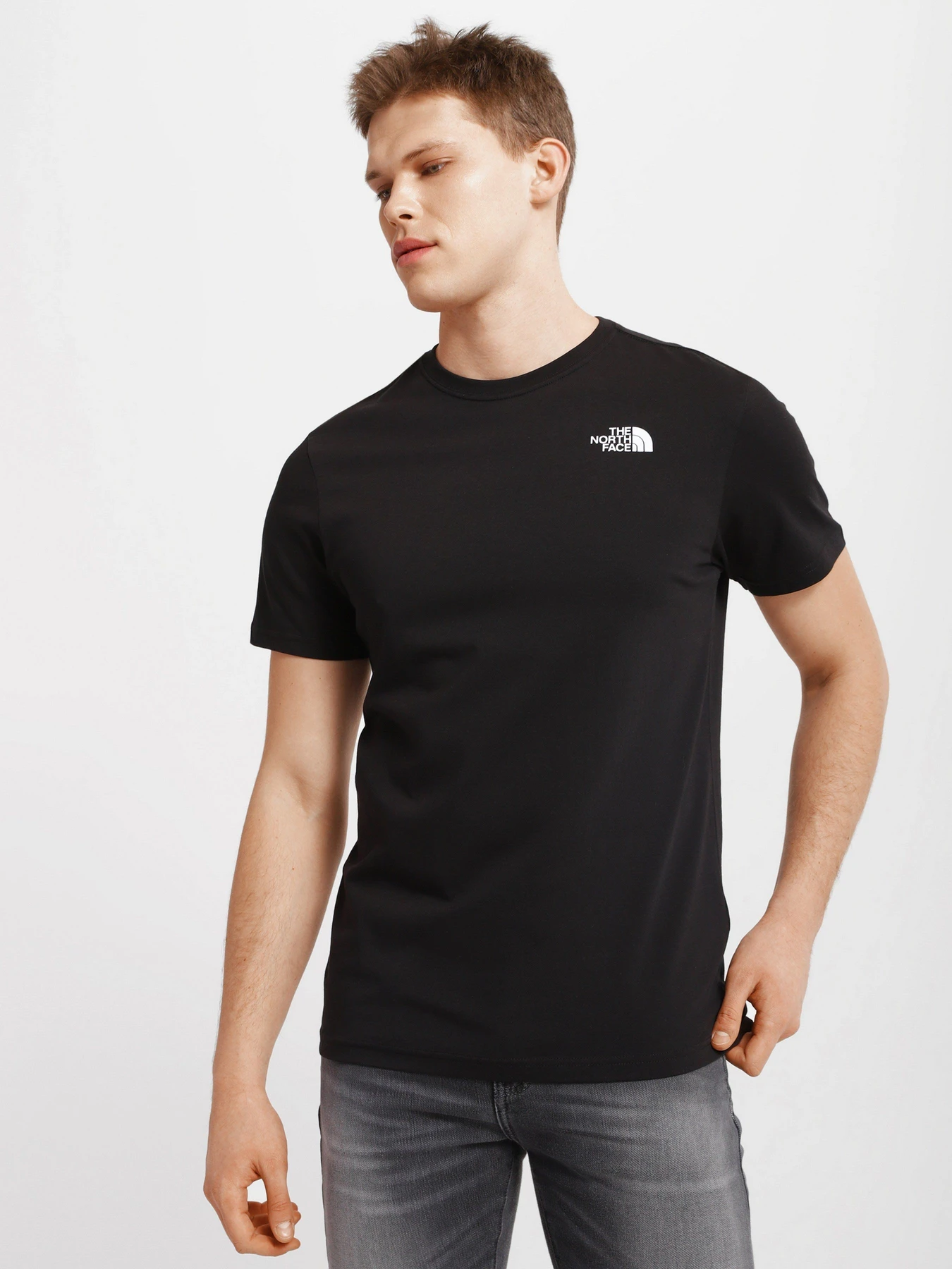 Футболки и поло The North Face Biner Graphic 4 модель NF0A7R4LJK31 Футболки и поло The North Face Biner Graphic 4 модель NF0A7R4LJK31 Фото