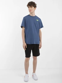 Шорты The North Face Zumu модель NF0A7SXFJK31 Фото