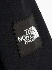Худи и свитшоты The North Face Galahm Graphic модель NF0A7R28JK31 Фото