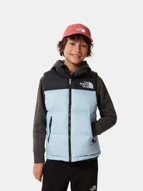 Куртки та дублянки The North Face Retro Nuptse 1996 модель NF0A4TIN3R31 Фото