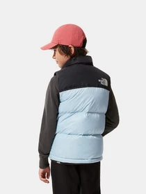 Куртки та дублянки The North Face Retro Nuptse 1996 модель NF0A4TIN3R31 Фото