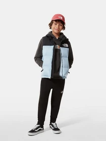 Куртки та дублянки The North Face Retro Nuptse 1996 модель NF0A4TIN3R31 Фото