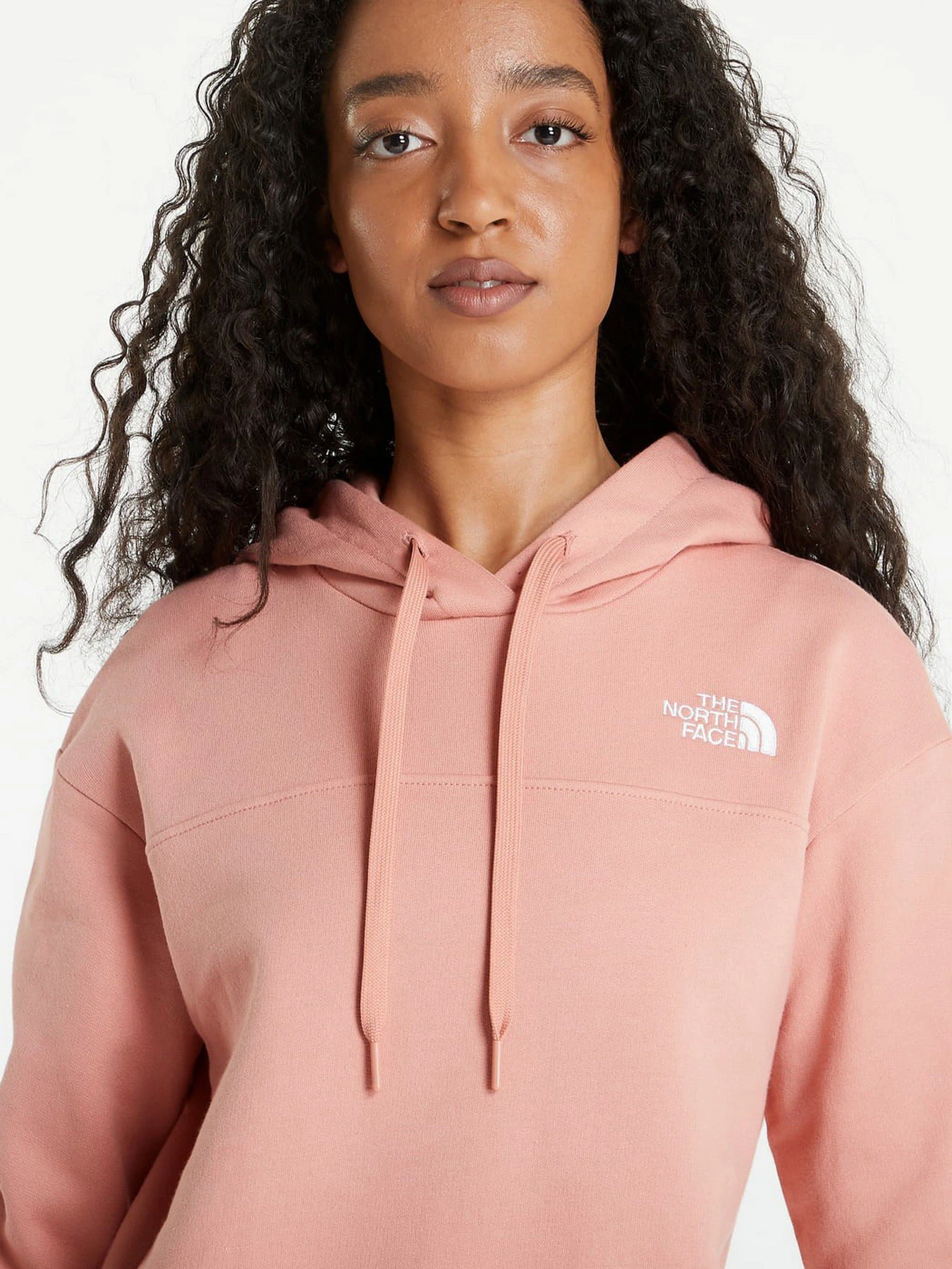 Худи и свитшоты The North Face Zumu модель NF0A491PHCZ1 Худи и свитшоты The North Face Zumu модель NF0A491PHCZ1 Фото