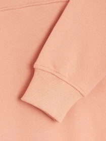 Худи и свитшоты The North Face Zumu модель NF0A491PHCZ1 Фото