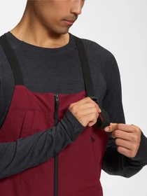 Комбинезоны The North Face M DRAGLINE BIB модель NF0A5ABY92L1 Фото