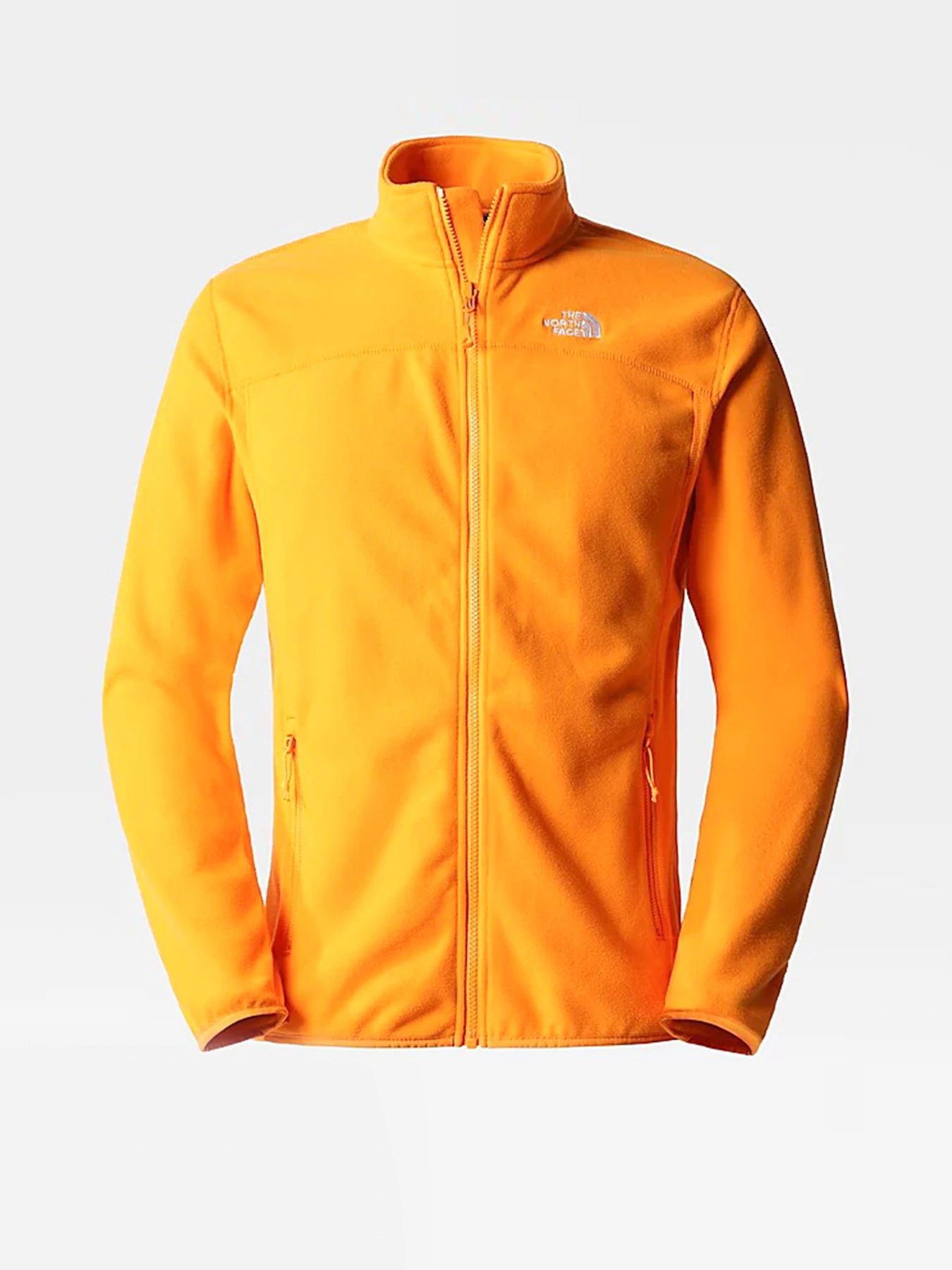 Худі та світшоти The North Face 100 Glacier модель NF0A5IHQ78M1 Худі та світшоти The North Face 100 Glacier модель NF0A5IHQ78M1 Фото