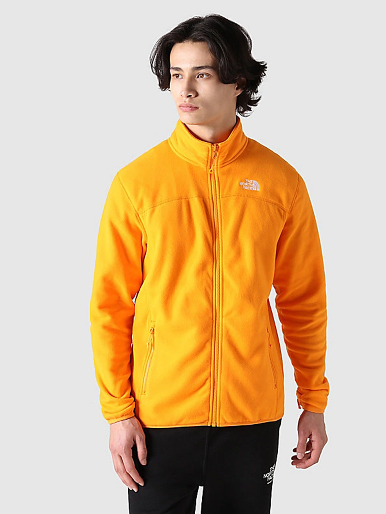 Худі та світшоти The North Face 100 Glacier модель NF0A5IHQ78M1 Худі та світшоти The North Face 100 Glacier модель NF0A5IHQ78M1 Фото