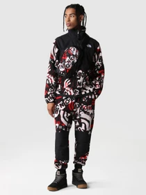 Худи и свитшоты The North Face Printed Denali модель NF0A7US899A1 Фото