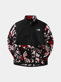 Худи и свитшоты The North Face Printed Denali модель NF0A7US899A1 Фото