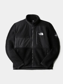 Худі та світшоти The North Face Seasonal Denali Шерпа модель NF0A7X32JK31 Фото