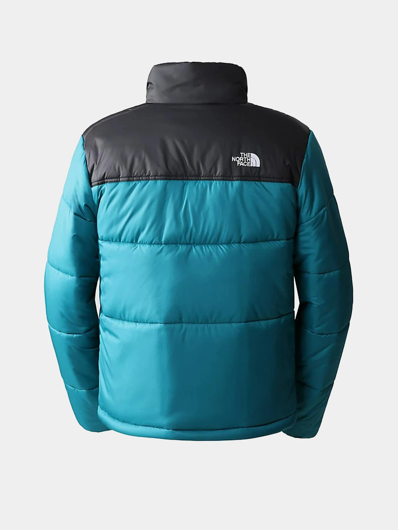 Куртки и дубленки The North Face Saikuru модель NF0A2VEZ2W91 Куртки и дубленки The North Face Saikuru модель NF0A2VEZ2W91 Фото