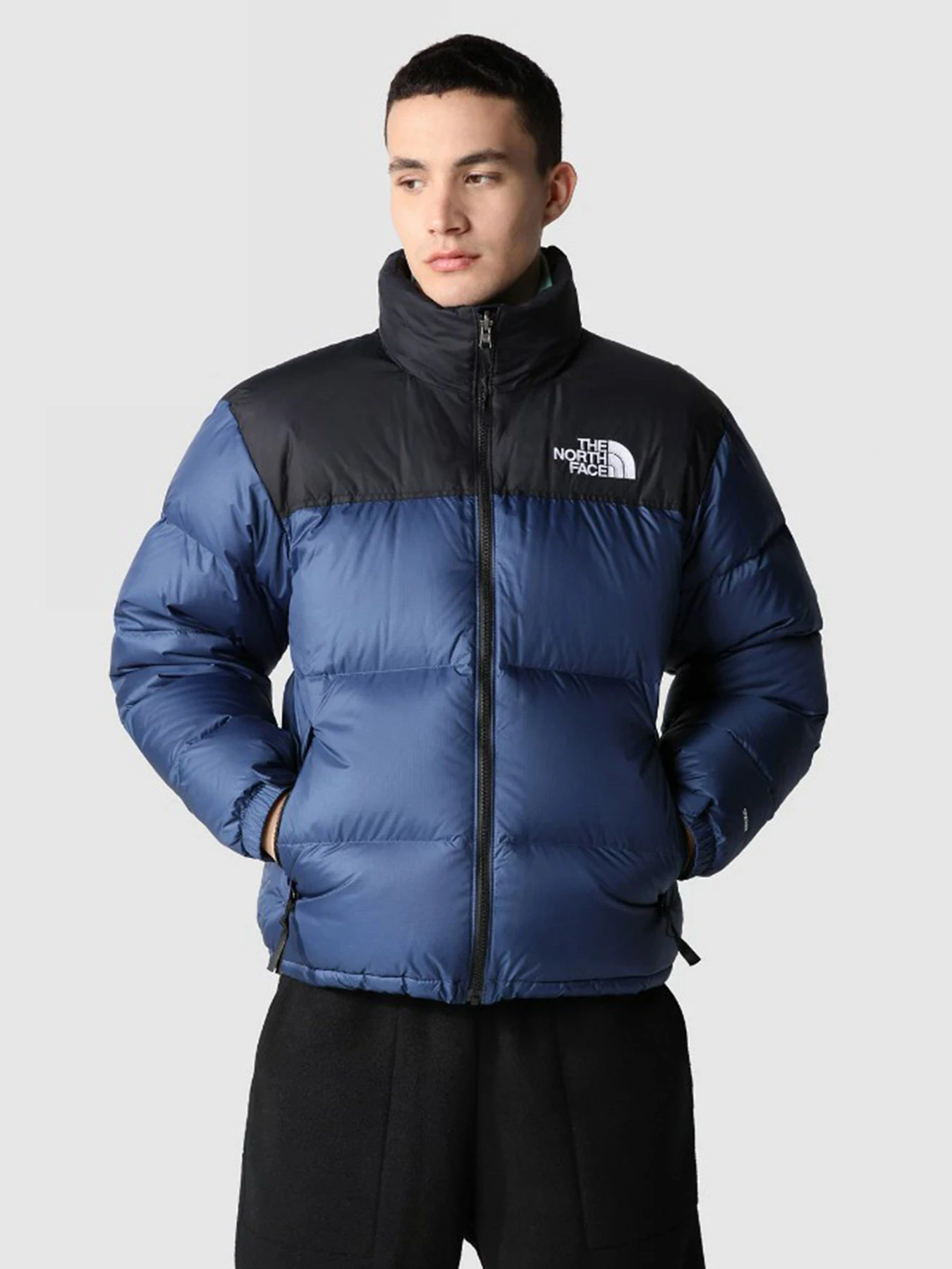 Куртки и дубленки The North Face 1996 Nuptse модель NF0A3C8DHDC1 Фото