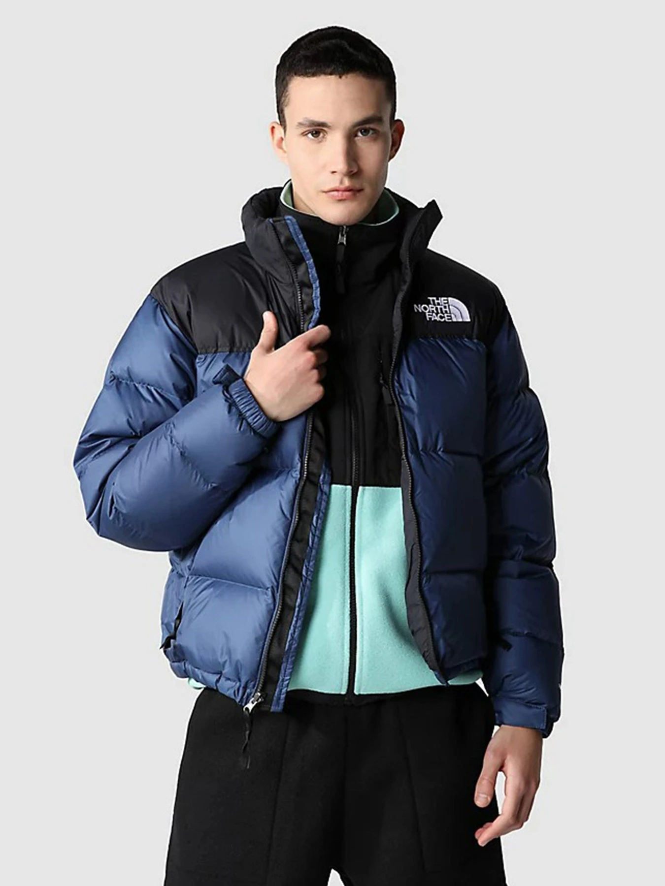 Куртки и дубленки The North Face 1996 Nuptse модель NF0A3C8DHDC1 Фото