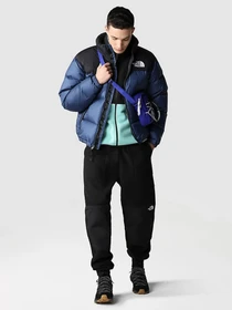 Куртки и дубленки The North Face 1996 Nuptse модель NF0A3C8DHDC1 Фото