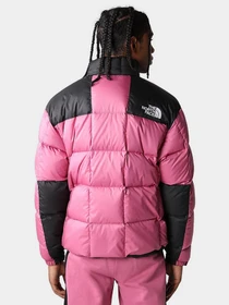 Куртки та дублянки The North Face Lhotse модель NF0A3Y237481 Фото