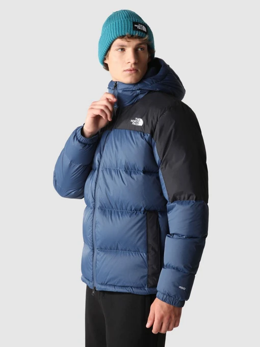 Куртки и дубленки The North Face Diablo модель NF0A4M9LMPF1 Фото
