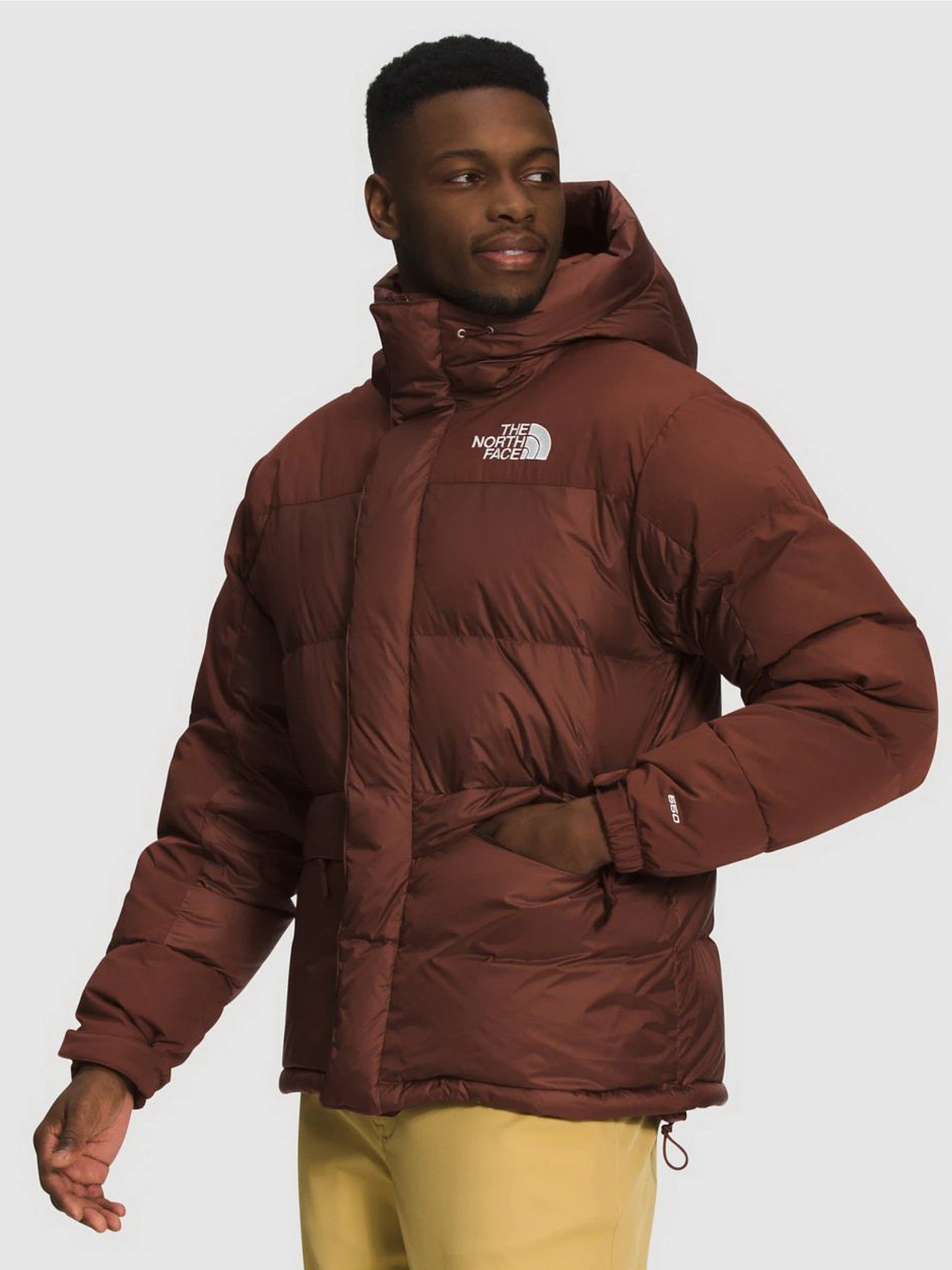 Куртки и дубленки The North Face Himalayan модель NF0A4QYX6S21 Куртки и дубленки The North Face Himalayan модель NF0A4QYX6S21 Фото