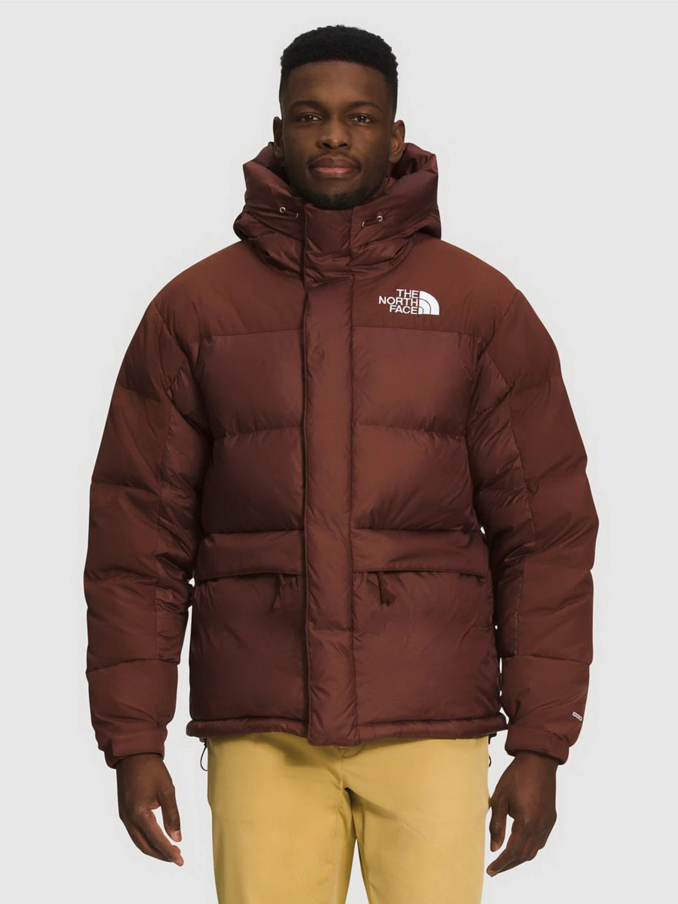 Куртки и дубленки The North Face Himalayan модель NF0A4QYX6S21 Куртки и дубленки The North Face Himalayan модель NF0A4QYX6S21 Фото