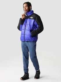 Куртки та дублянки The North Face Himalayan Insulated модель NF0A4QYZ40S1 Фото