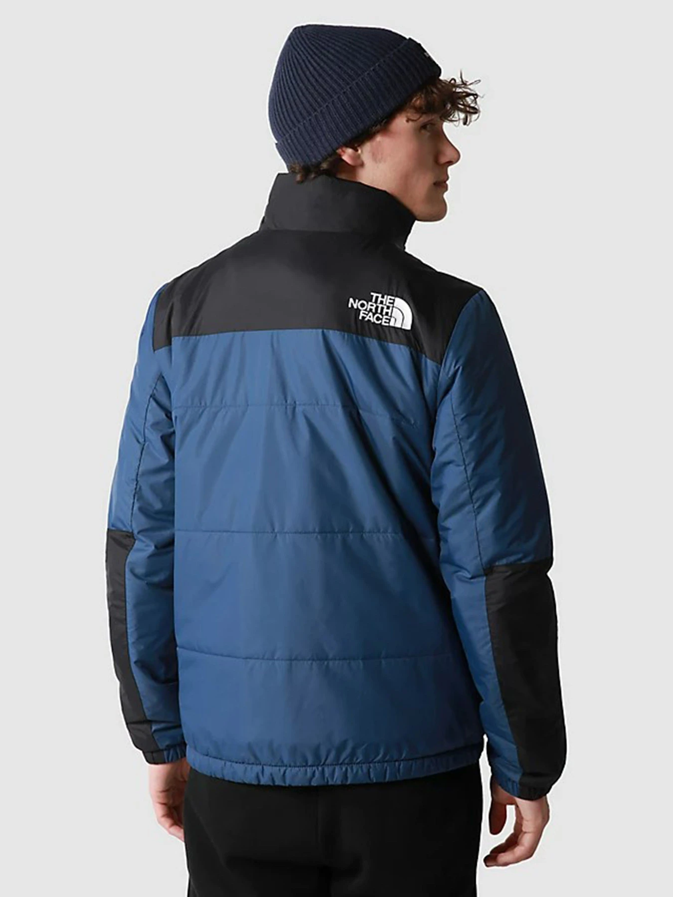 Куртки и дубленки The North Face Gosei Puffer модель NF0A557VHDC1 Фото