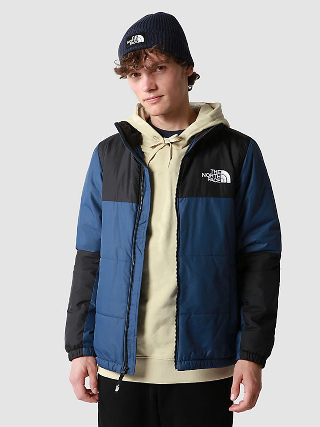 Куртки и дубленки The North Face Gosei Puffer модель NF0A557VHDC1 Фото