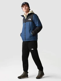 Куртки и дубленки The North Face Gosei Puffer модель NF0A557VHDC1 Фото