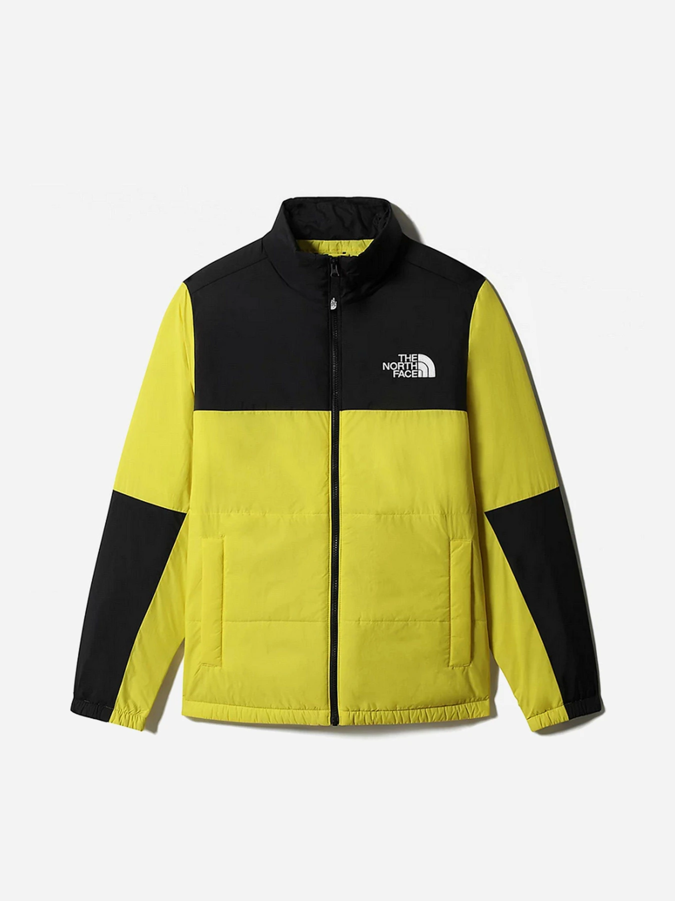 Куртки и дубленки The North Face модель NF0A557V71U1 Куртки и дубленки The North Face модель NF0A557V71U1 Фото