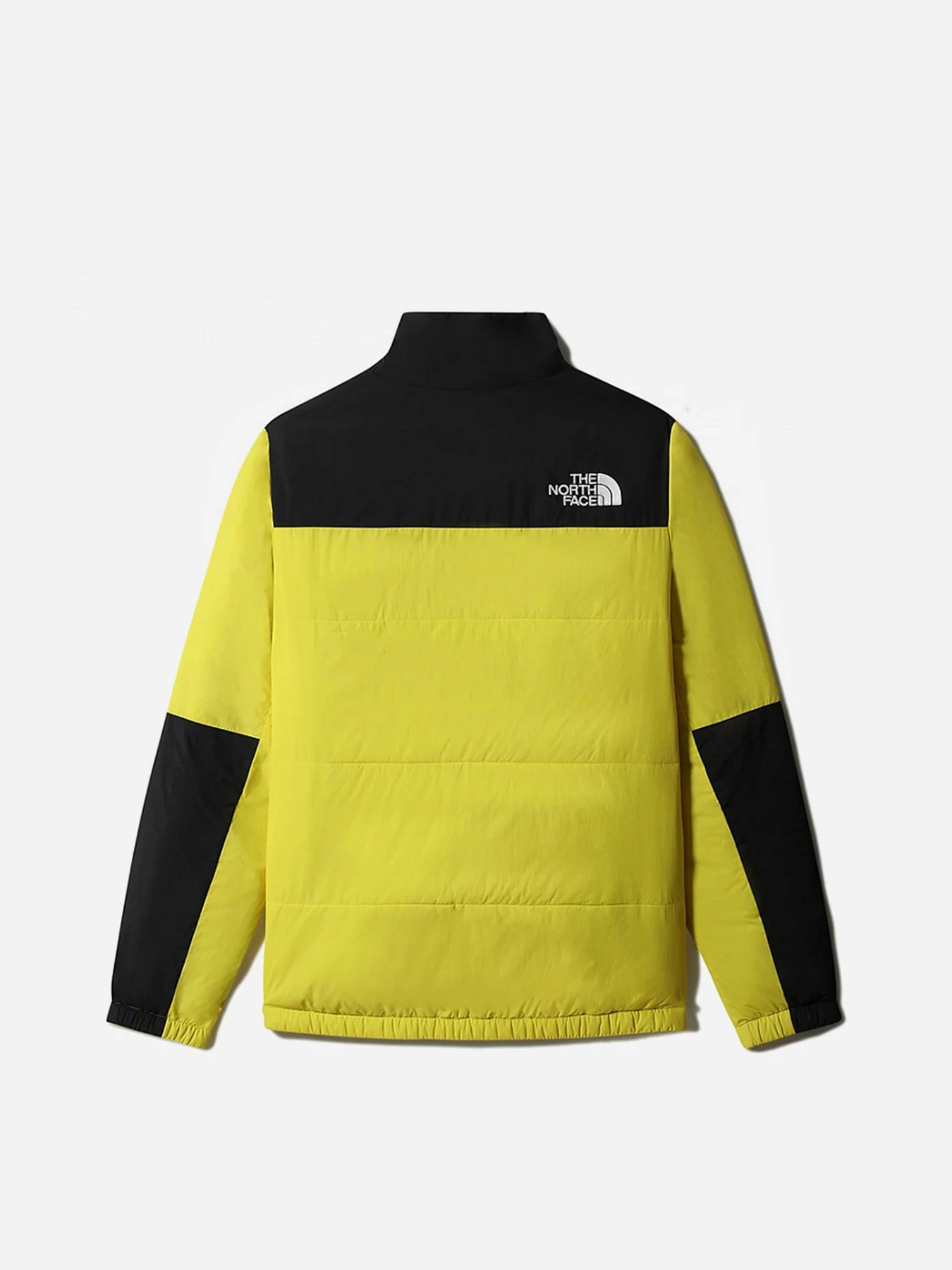 Куртки и дубленки The North Face модель NF0A557V71U1 Куртки и дубленки The North Face модель NF0A557V71U1 Фото