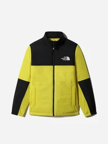 Куртки и дубленки The North Face модель NF0A557V71U1 Фото