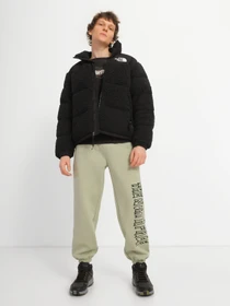 Куртки та дублянки The North Face Sherpa Nuptse модель NF0A5A84JK31 Фото