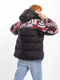 Куртки та дублянки The North Face Printed Himalayan Down модель NF0A5J1J99A1 Фото