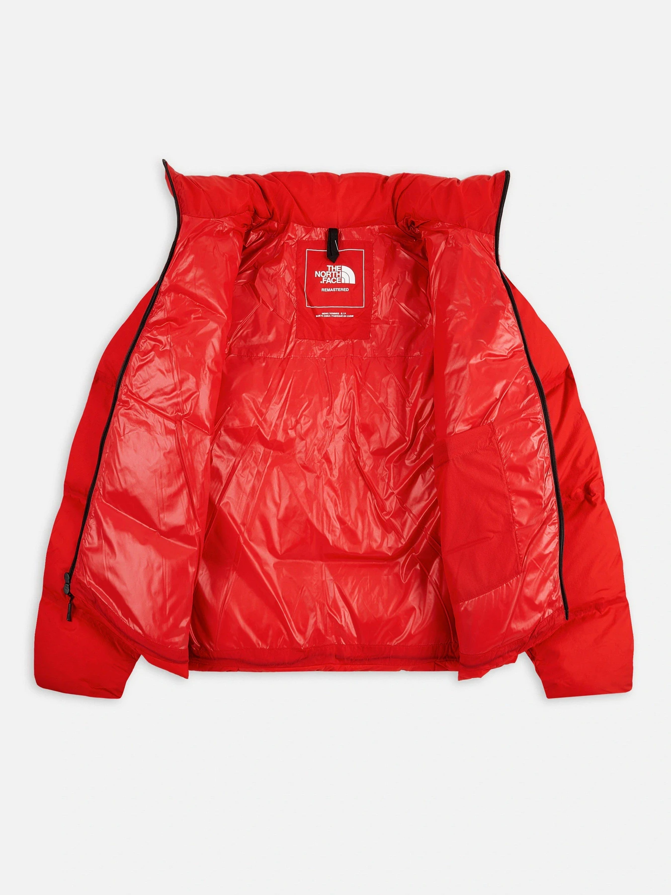 Куртки и дубленки The North Face Nuptse Padded модель NF0A7UQZ6821 Фото