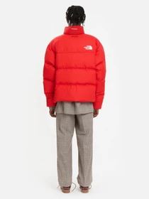 Куртки и дубленки The North Face Nuptse Padded модель NF0A7UQZ6821 Фото