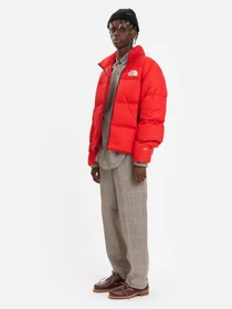 Куртки и дубленки The North Face Nuptse Padded модель NF0A7UQZ6821 Фото