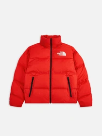 Куртки и дубленки The North Face Nuptse Padded модель NF0A7UQZ6821 Фото