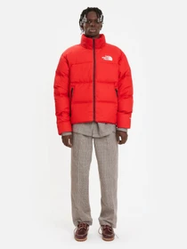 Куртки и дубленки The North Face Nuptse Padded модель NF0A7UQZ6821 Фото