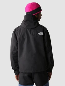 Куртки и дубленки The North Face 86 Retro модель NF0A7UR9JK31 Фото