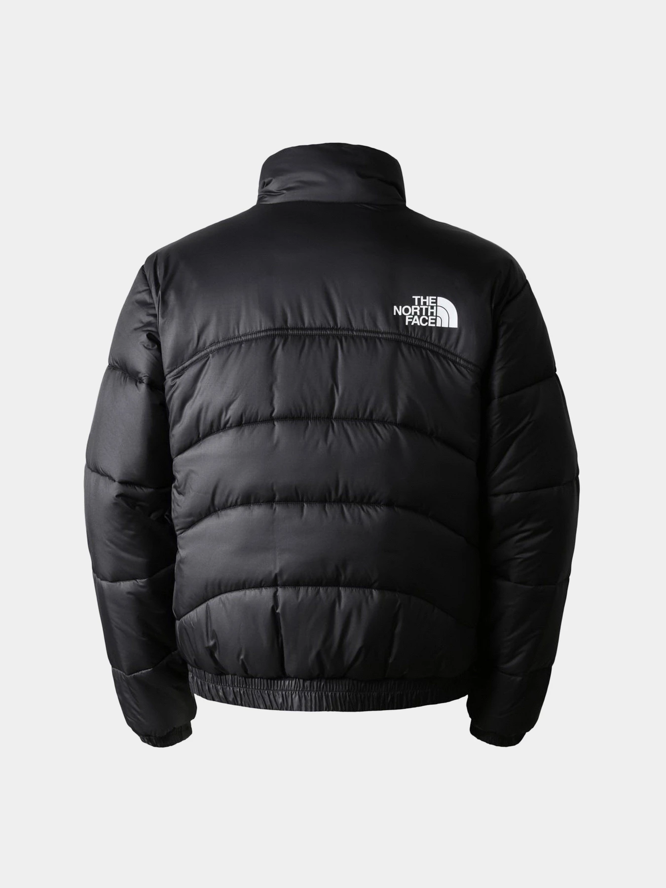 Куртки та дублянки The North Face 2000 SYNTHETIC PUFFER модель NF0A7UREJK31 Фото