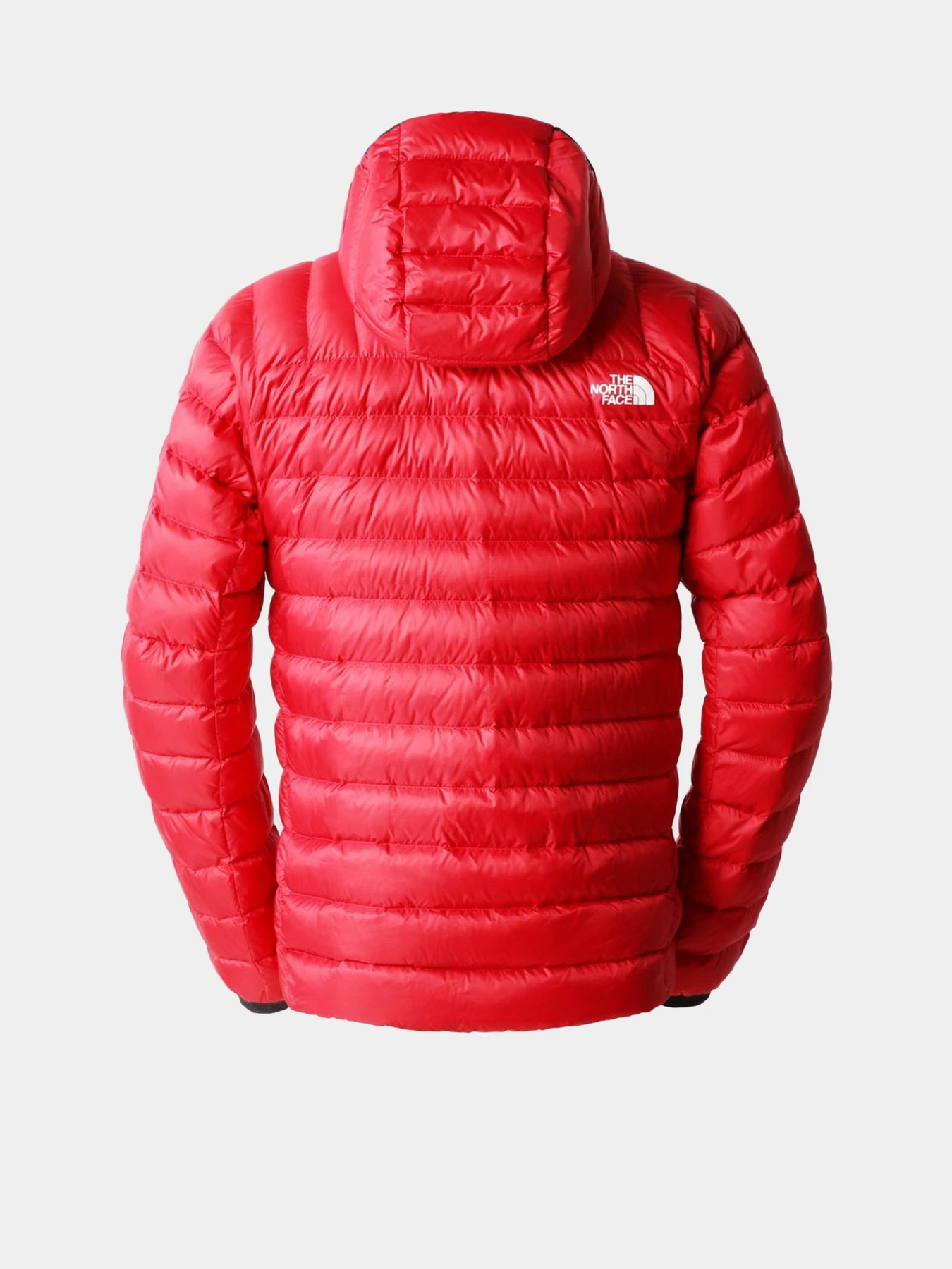 Куртки та дублянки The North Face SUMMIT BREITHORN модель NF0A7UT86821 Куртки та дублянки The North Face SUMMIT BREITHORN модель NF0A7UT86821 Фото