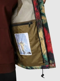 Куртки и дубленки The North Face 86 RETRO модель NF0A7WVF94B1 Фото