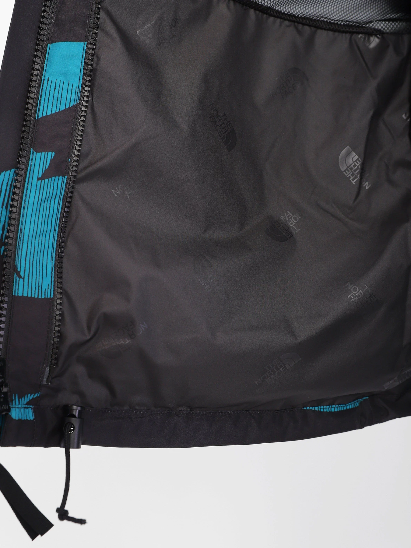 Куртки и дубленки The North Face 86 Retro модель NF0A7WVF98X1 Фото