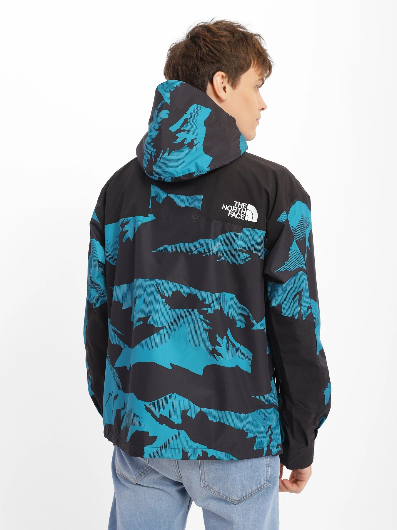 Куртки и дубленки The North Face 86 Retro модель NF0A7WVF98X1 Фото