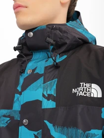 Куртки и дубленки The North Face 86 Retro модель NF0A7WVF98X1 Фото